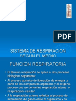 Sistema de Respiracion Segun El Medio