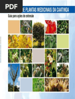 Catalogo Plantas Medicinais BBB-13-2011