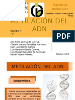 Metilación ADN