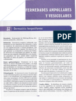 [37] Dermatitis Herpertiforme (a Partir de Aqui Enfermedades Ampollares y Vesiculares