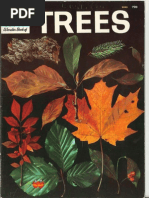 Download How and Why Wonder Book of Trees by kett8233 SN259442394 doc pdf