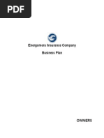 Energomerainsurancecompanybusinessplan 110504123431 Phpapp02 (1) (1)