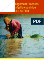 best-management-practices-for-rainfed-lowland-rice-in-lao-pdr