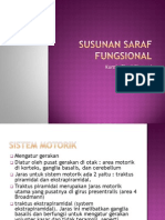 Susunan Saraf Fungsional PDF