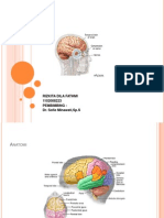 HERNIAASI