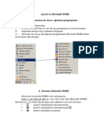 2.Lucrul Cu Microsoft WORD