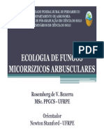 Fungos Micorrízicos Arbusculares