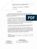Celula PDF