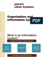 Organization and Information System