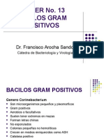 Bacilos Gram Positivos