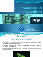 T 08 Introducción Al Metabolismo 2 PDF