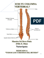 Conoces Tu Columna Vertebral 