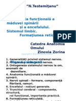 Anatomia Funcțională A Măduvei Spinării Și Encefalului