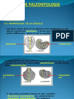 Bivalves - 1