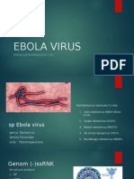 Ebola virus