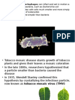 PPT Viruses, Bacteria, Eukaryotic and DNA Tech