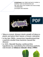 Viruses, Bacteria, Eukaryotic and DNA Tech