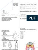 ED - Ossos, Articulações e Introdução