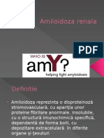 New Microsoft PowerPoint Presentation amiloidoza