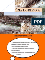 A Matéria Expressiva