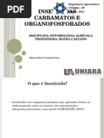 2. Apresentação Organofosforados e Carbamatos