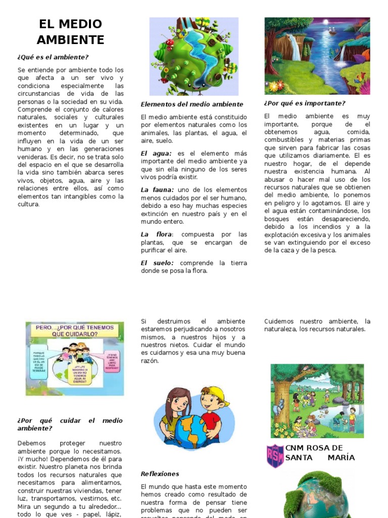 El Medio Ambiente | PDF | Entorno natural | Vida