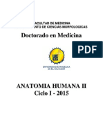 Manual Anatomía humana II . Doctorado en Medicina  Ciclo I - 2015 (1).pdf