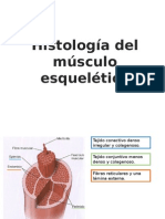 Histología Del Músculo Esquelético