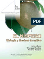 Nispero PDF