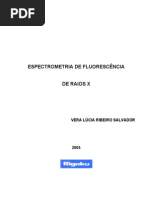 apostila_avancado 2005