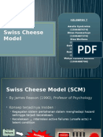 Swiss Cheese Model 