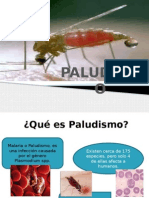 Paludismo (Malaria). 