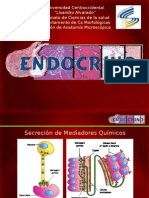 Endocrino Dra Bravo