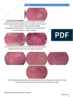 Bone and Joint Pathology