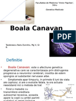 Boala Canavan