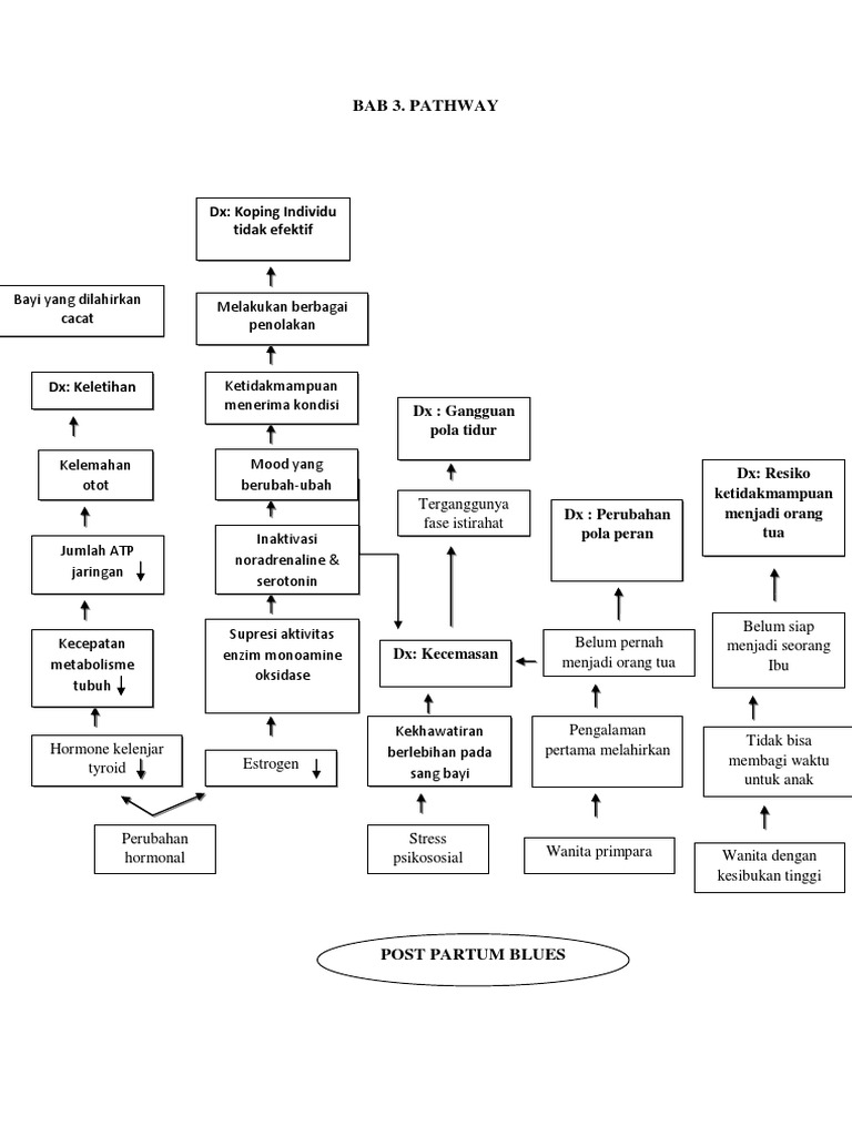 Pathway | PDF
