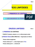 Órgãos Linfoides Primários e Secundários