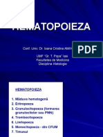 histologie Hematopoieza