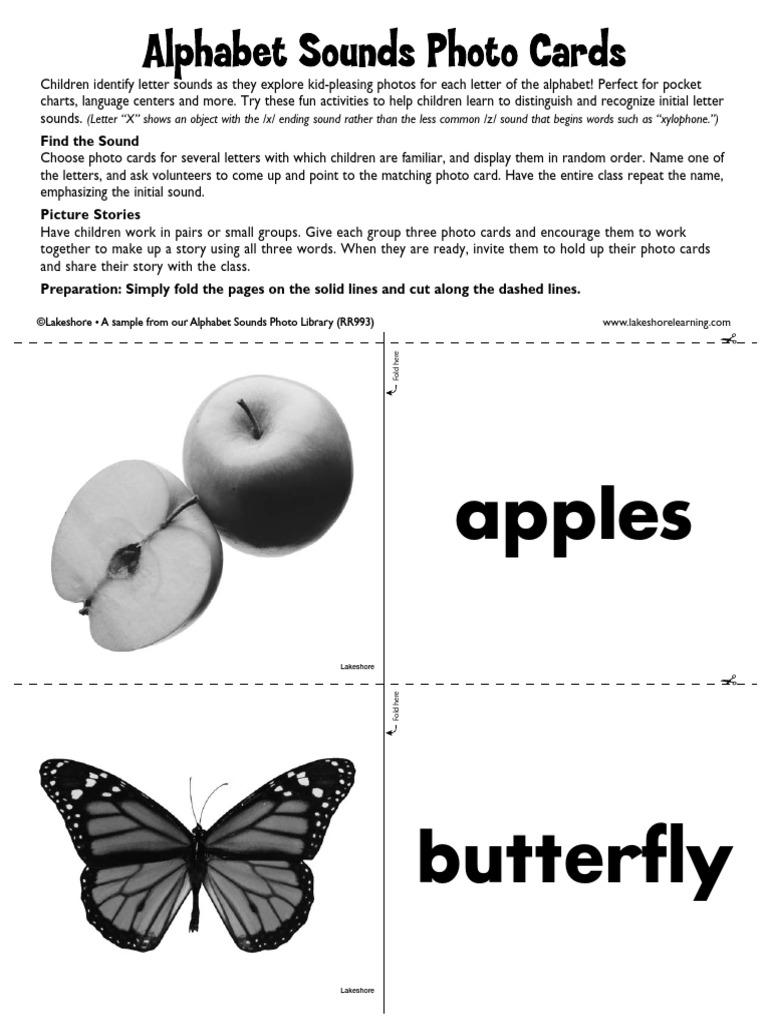 Alpha Photo Cards | PDF | Language Arts & Discipline