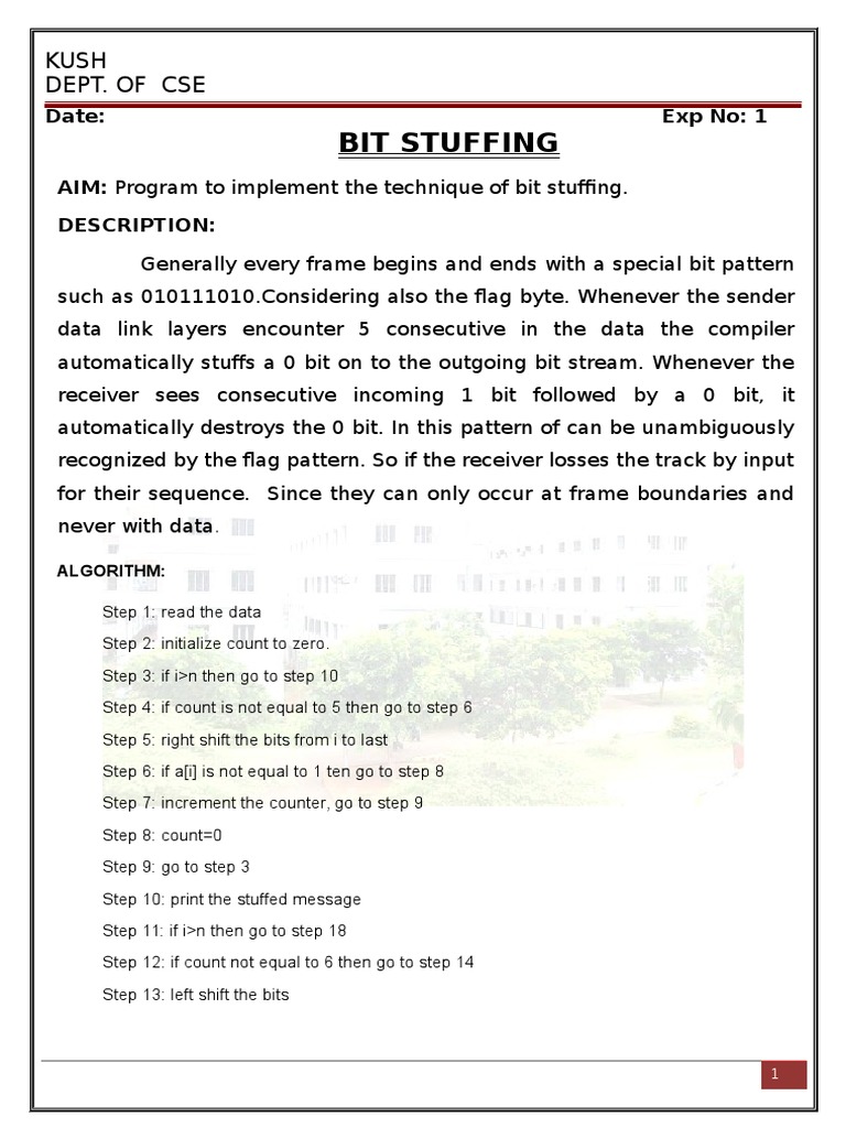 Bit Stuffing: Kush Dept. of Cse | PDF