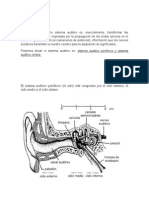 Sistema Auditivo