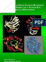 Caracterización de Nuevas Xilanasas Bacterianas. Ingenieria de Enzimas Con La Xilanasa XynB de "Paenibacillus Barcinonensis"