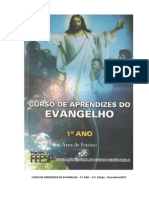 Curso de Aprendizes Do Evangelho - Primeiro Ano - 21 Edição (FEESP)