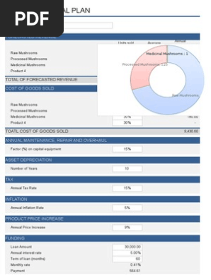 10 Year Financial Plan (1)