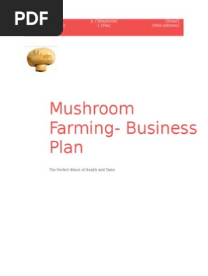 Mushroom Farming Bplan