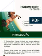 Endometrites em Éguas