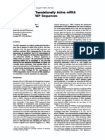 Stabilization of Translationally Active MRNA by Prokaryotic REP