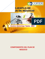 COMO ELABORAR UN BUEN PLAN DE NEGOCIOS - Gustavo Samaniego