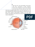 Anatomi, Fisiologi, Histologi Kornea