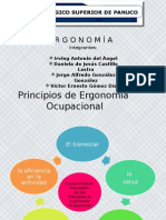 Principios de Ergonomia ocupacional.pptx